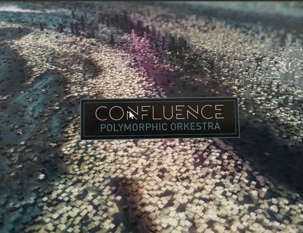 Polymorphic Orkestra - Confluence (Bamboozle Music 012)