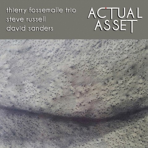 Thierry Fossemalle Trio - Actual Asset (Independent www.thierryfossmalle.net)